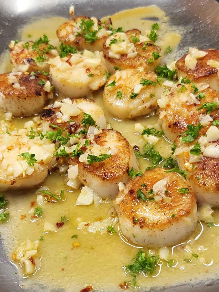 Scallops